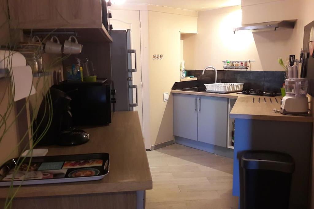 Villa Baies Roses แซ็งต์-เลอ ภายนอก รูปภาพ